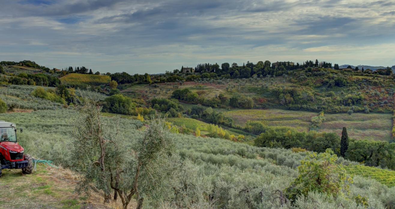 San Casciano La Carbonaia